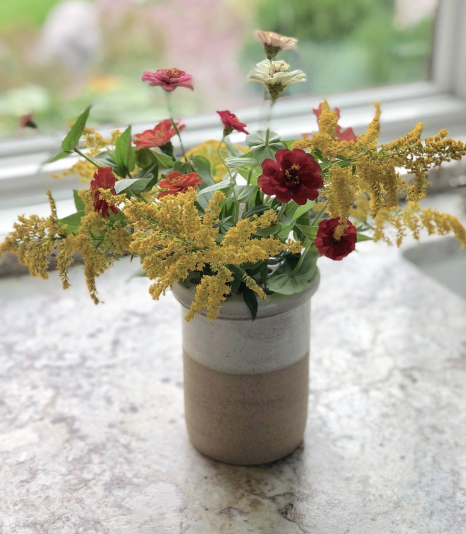 Terra Cotta Frog Vases for Flower Arrangement