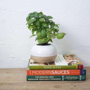 Herb Planter - White Glaze on Natural Clay Body